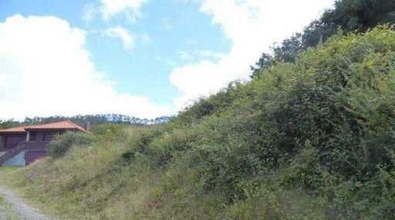 Asturias - Gijón - 2200m2
