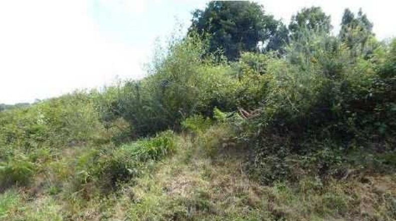 Asturias - Gijón - 2200m2