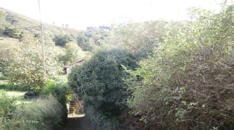 Asturias - Rodiles - 202m2
