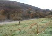 Finca rústica en venda a Trasmonte ref.: TR17572 foto