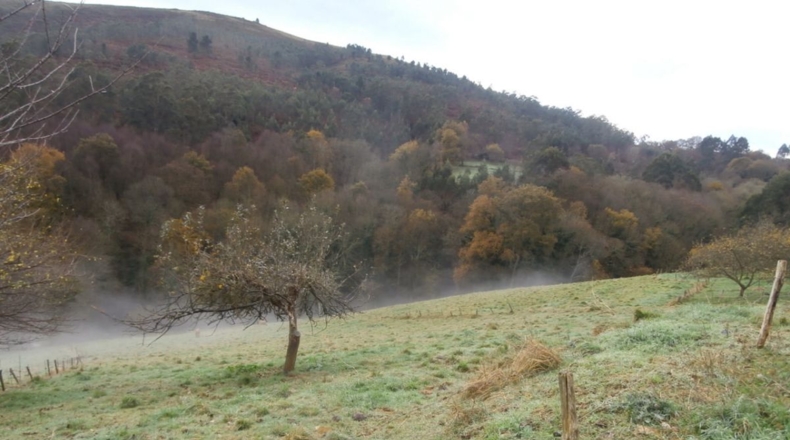 Asturias - Granda - 3667m2