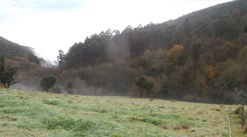 Asturias - Granda - 3667m2