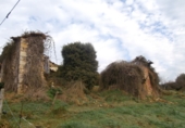 Finca rústica en venda a Trasmonte ref.: TR17572 foto