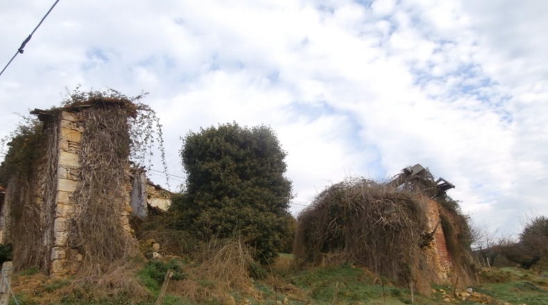 Asturias - Granda - 3667m2