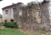 Finca rústica en venda a Trasmonte ref.: TR17572 foto