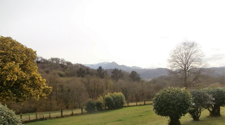 Asturias - Piñera - 6600m2