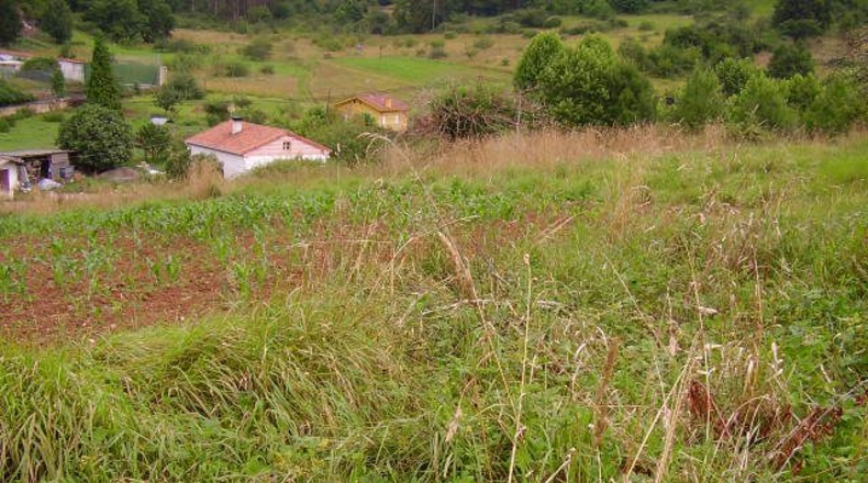 Asturias - Candamín - 1121m2