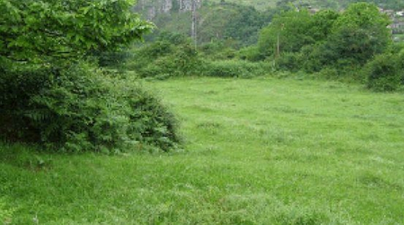 Asturias - Taoces - 1890m2