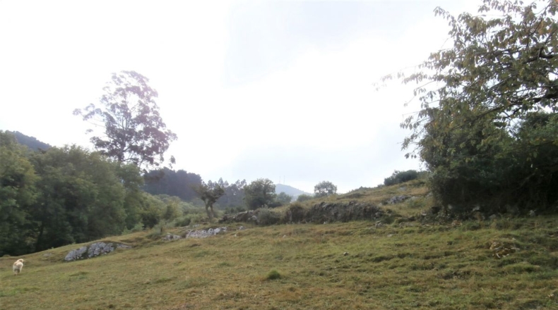 Asturias - Cornellana - 11746m2