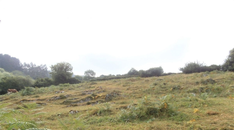 Asturias - Cornellana - 11746m2