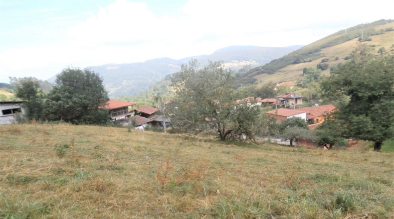 Asturias - Cornellana - 11746m2