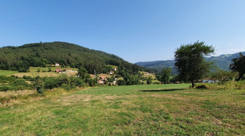 Asturias - El Barrio - 9591m2