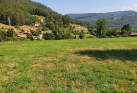 Foto 20