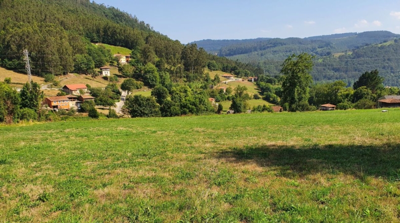 Asturias - El Barrio - 9591m2