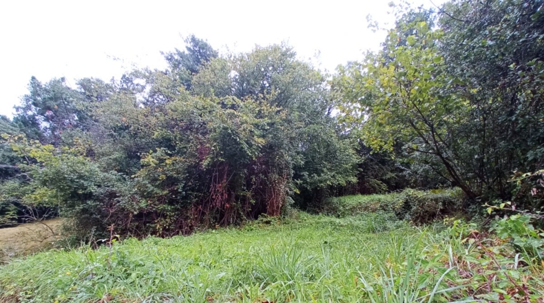 Asturias - Tablado - 300m2