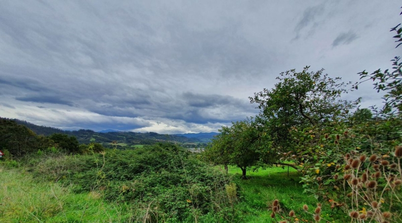 Asturias - Murias - 700m2