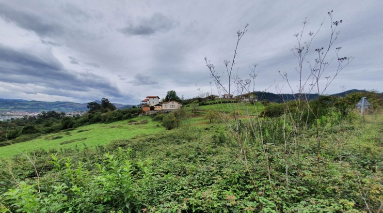 Asturias - Murias - 700m2