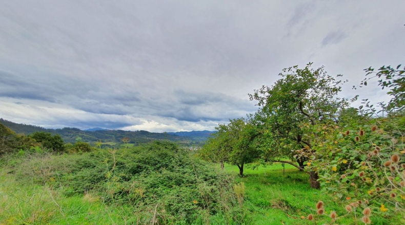 Asturias - Murias - 700m2