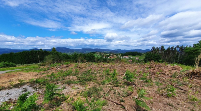 Asturias - El Escamplero - 4121m2