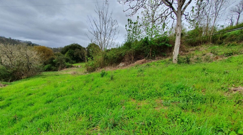 Asturias - Casa Nueva - 6900m2