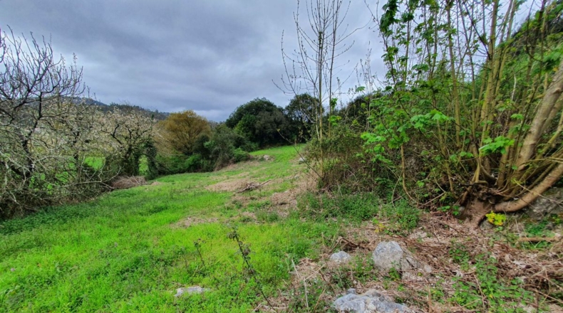 Asturias - Casa Nueva - 6900m2