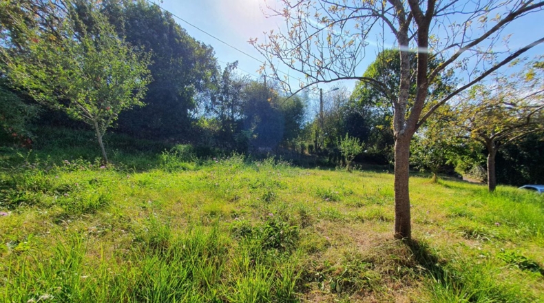 Asturias - San Pelayo - 500m2