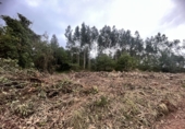Sòl urbà en venda a Grado ref.: TR90027 foto