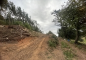 Sòl urbà en venda a Grado ref.: TR90027 foto
