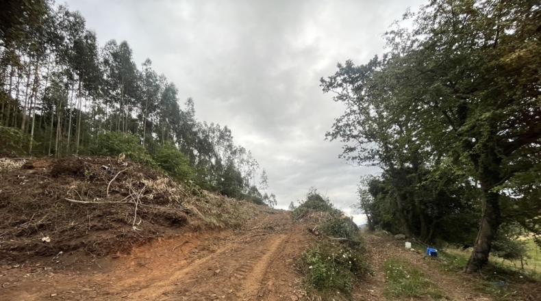 Asturias - San Pelayo - 3801m2