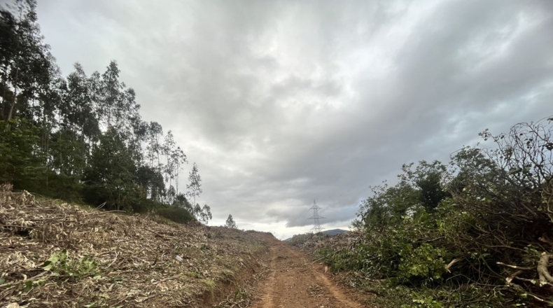 Asturias - San Pelayo - 3801m2