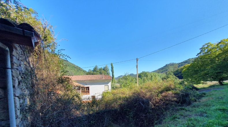 Asturias - Pumarada - 300m2