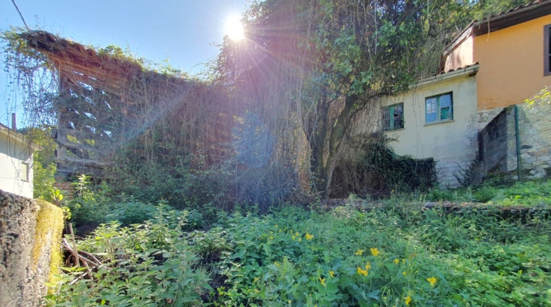 Asturias - Pumarada - 300m2