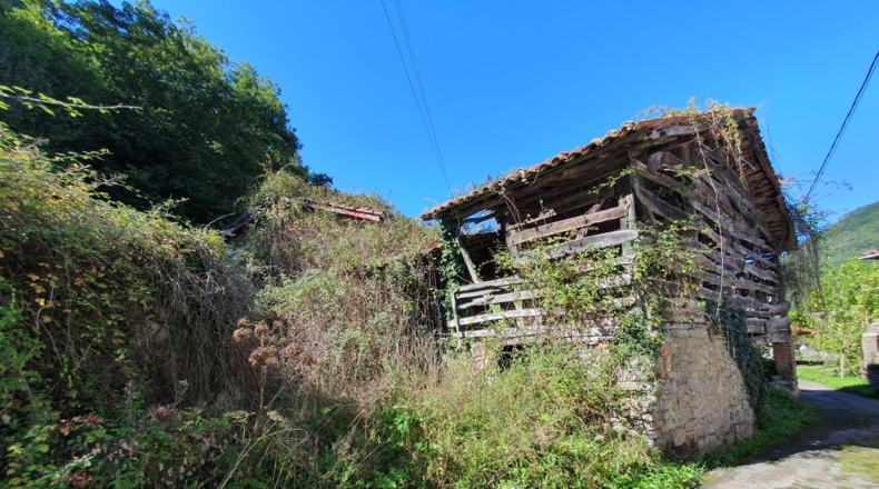 Asturias - Pumarada - 300m2