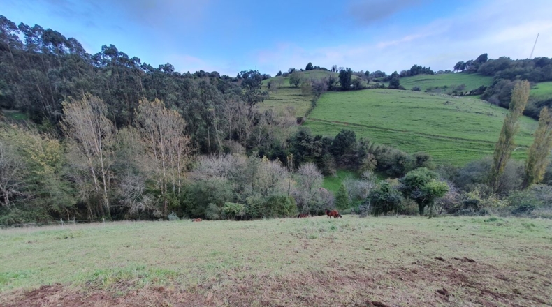 Asturias - El Valle - 4500m2