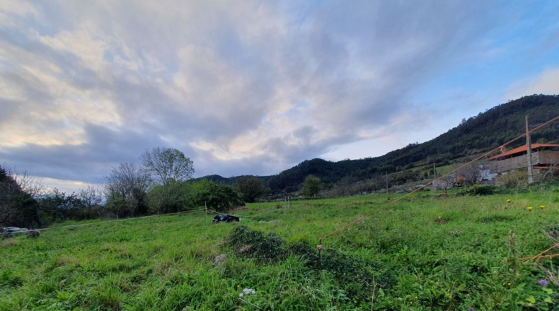 Asturias - El Valle - 4500m2