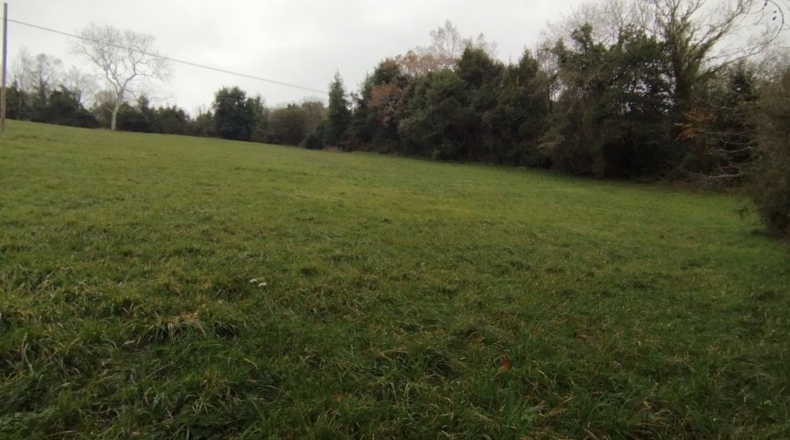 Asturias - San Tirso - 12582m2
