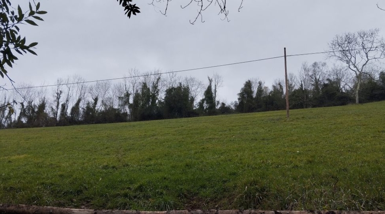 Asturias - San Tirso - 12582m2