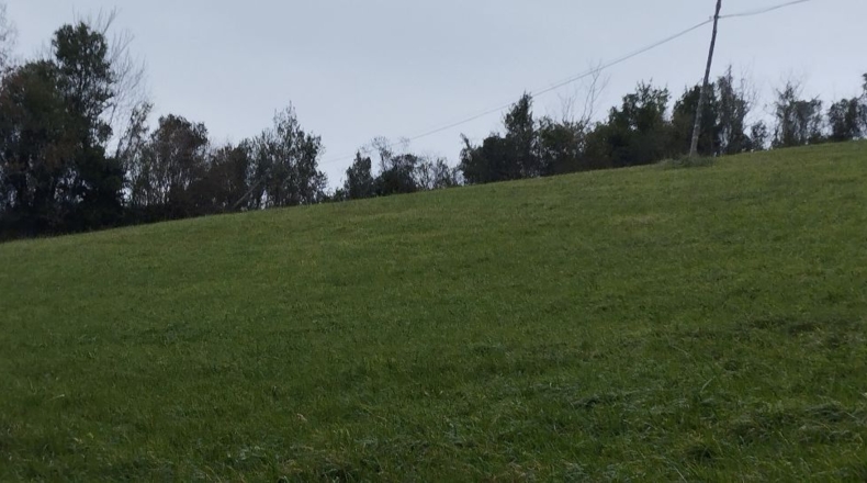 Asturias - San Tirso - 12582m2