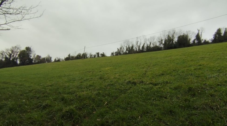 Asturias - San Tirso - 12582m2