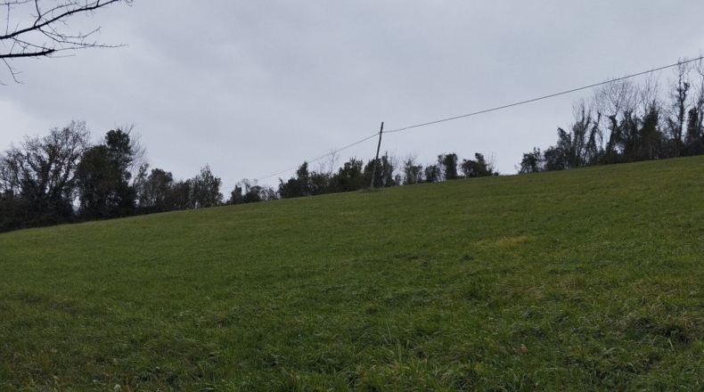 Asturias - San Tirso - 12582m2
