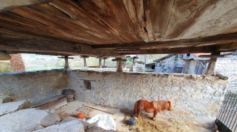 Asturias - La Sala - 895m2