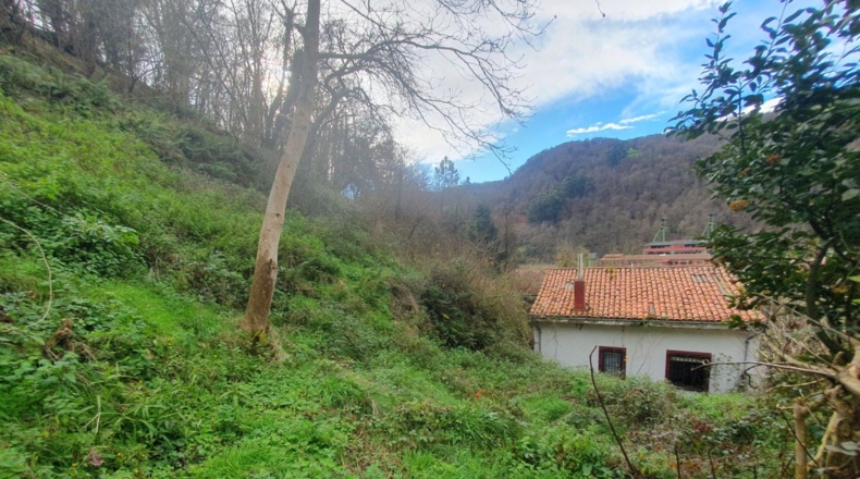 Asturias - Pedroco - 2358m2