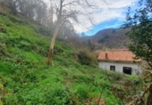 Casa de poble en venda a San Martín ref.: TR101039 foto