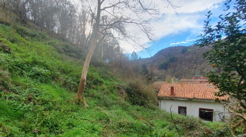 Asturias - Pedroco - 2358m2