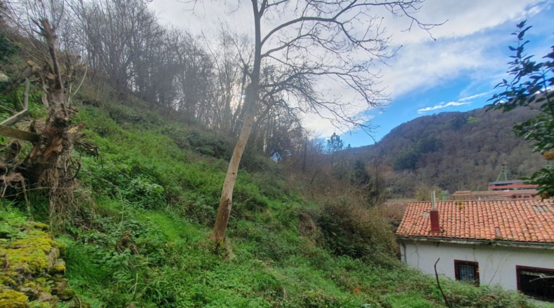 Asturias - Pedroco - 2358m2