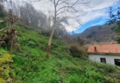 Casa de poble en venda a San Martín ref.: TR101039 foto