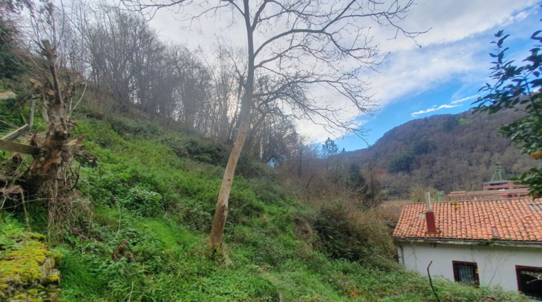 Asturias - Pedroco - 2358m2