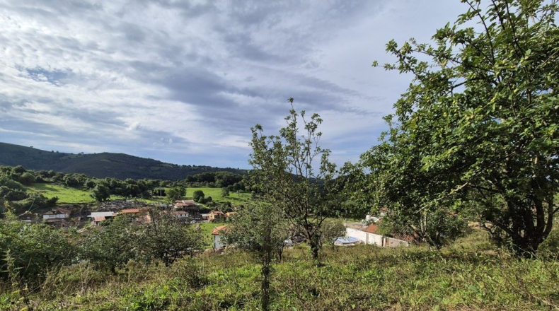 Asturias - Villagarcía - 1286m2