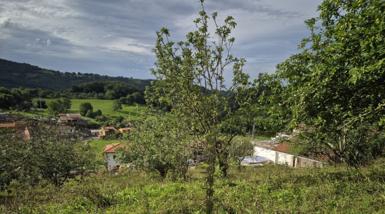 Asturias - Villagarcía - 1286m2