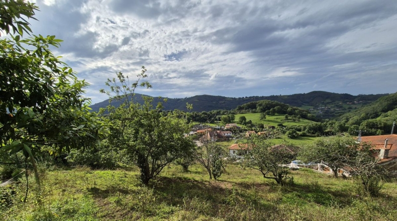 Asturias - Villagarcía - 1286m2